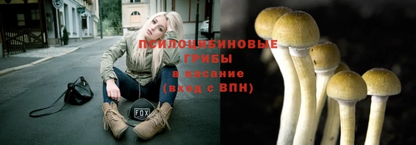 ECSTASY Алексеевка