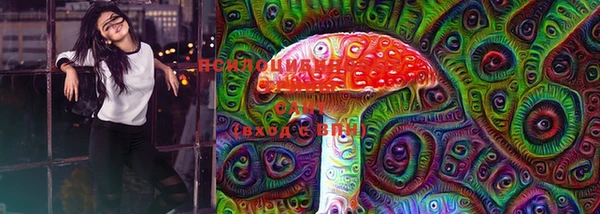 ECSTASY Алексеевка