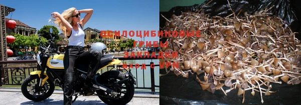 каннабис Алзамай