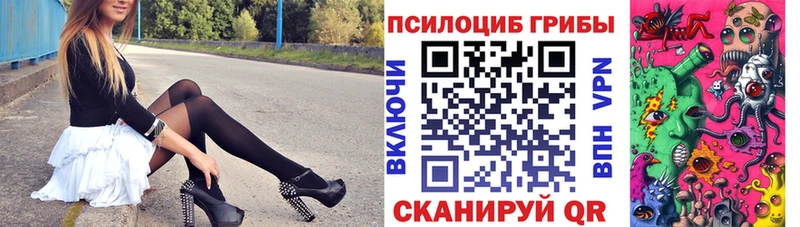 наркотики  Раменское  mega маркетплейс  Псилоцибиновые грибы Psilocybine cubensis 