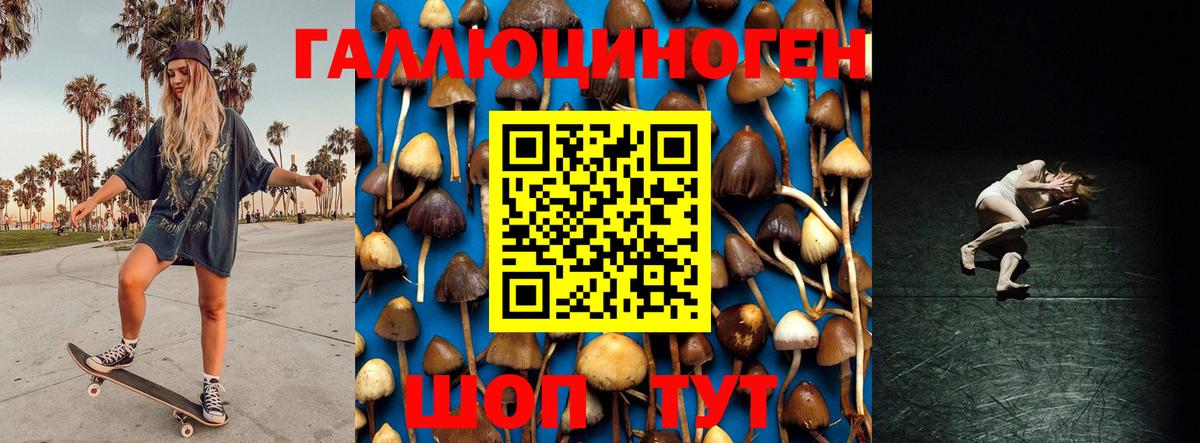 Галлюциногенные грибы прущие грибы  Вход с VPN  Раменское  Галлюциногенные грибы Magic Shrooms 